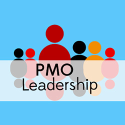 PMO leaders