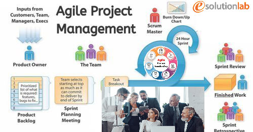 Project Program Management